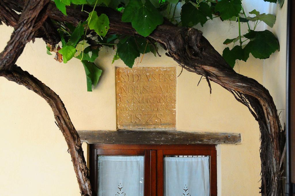 B&B Camere La Vite Pienza Eksteriør billede