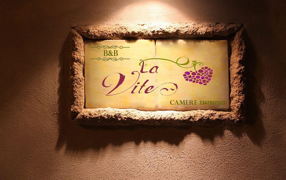B&B Camere La Vite Pienza Eksteriør billede