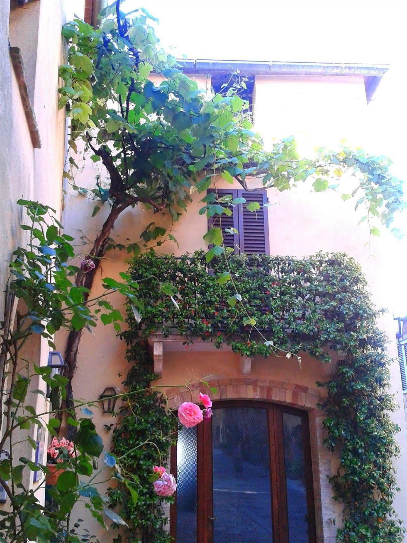 B&B Camere La Vite Pienza Eksteriør billede
